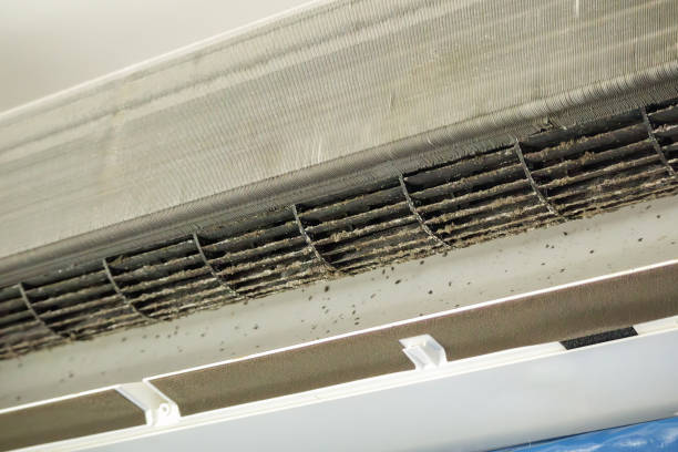 Best General Air Duct Cleaning  in Ipswich, SD